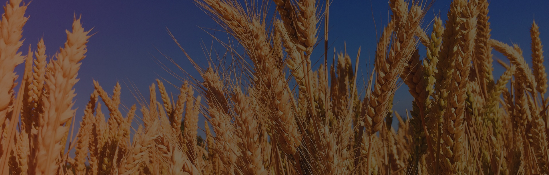 Agri Pulse