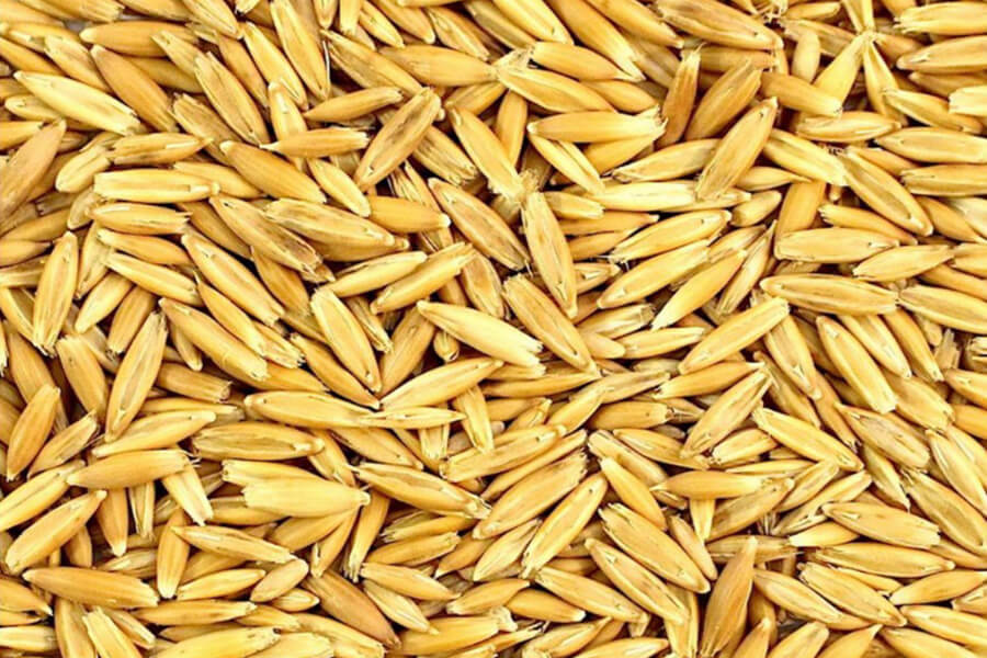 Oats